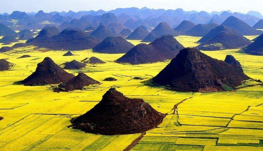 los campos de flores mas hermosos del mundo