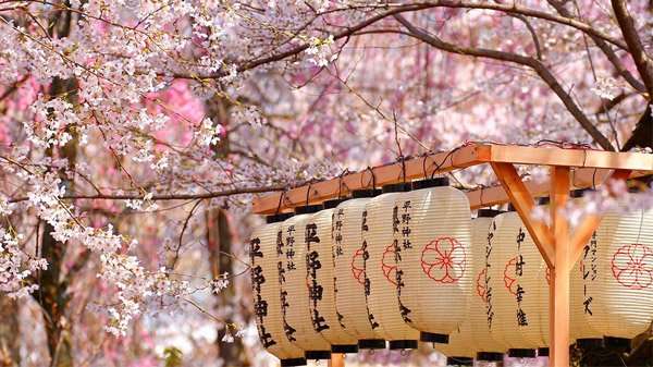 Cuándo es el Hanami (花見)