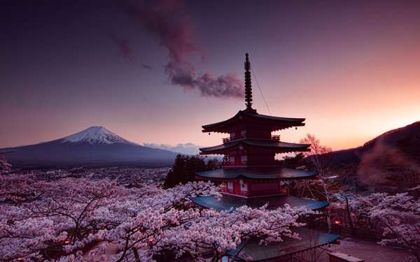 Cuándo es el Hanami (花見)