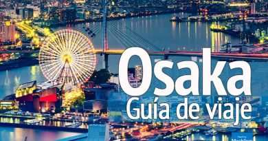 Cuánto cuesta viajar a osaka