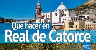 que hacer en real de catorce